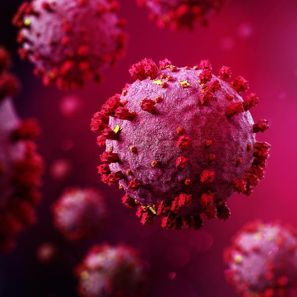 A 3D rendering of the COVID-19 coronavirus under a microscope.