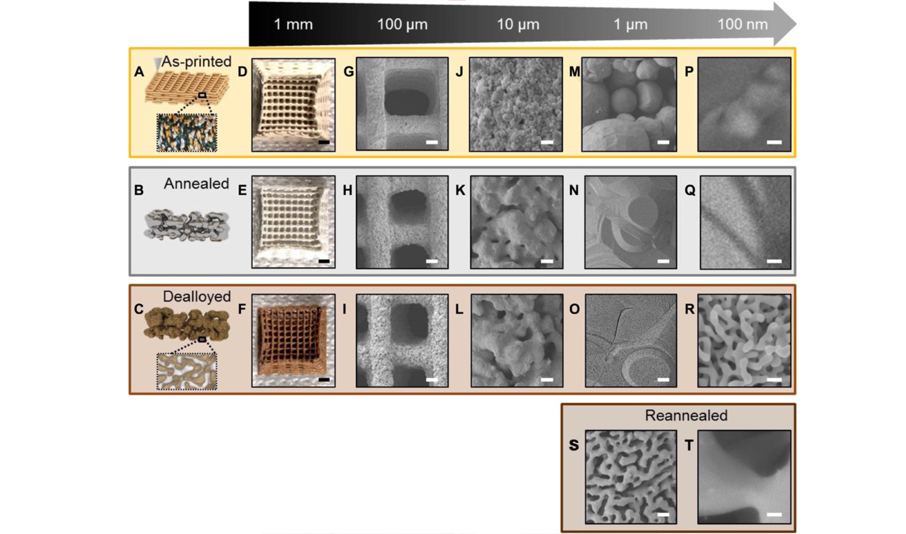 Hierarchically nanoporous materials