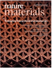 Multiscale metallic metamaterials