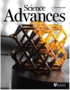 Toward digitally controlled catalyst architectures: Hierarchical nanoporous gold via 3D printing
